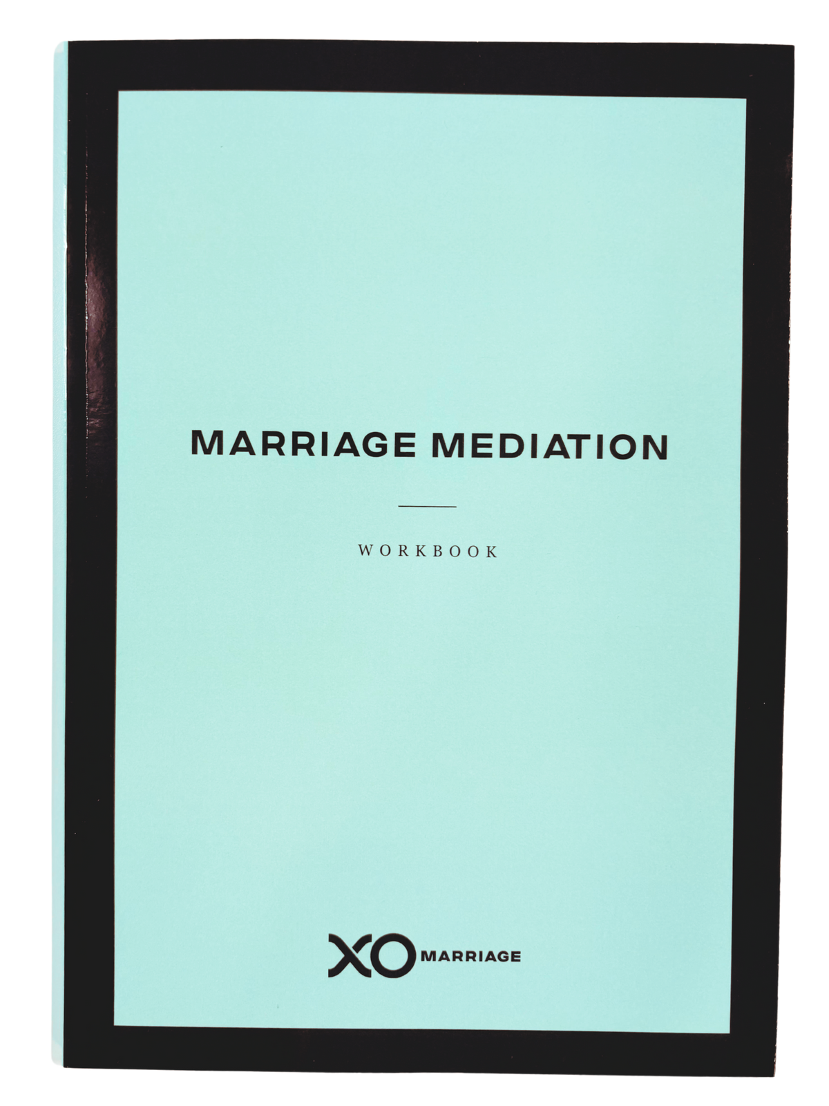 Marriage Mediation Workbook (2026) (THINK/SINK Graphic Error)